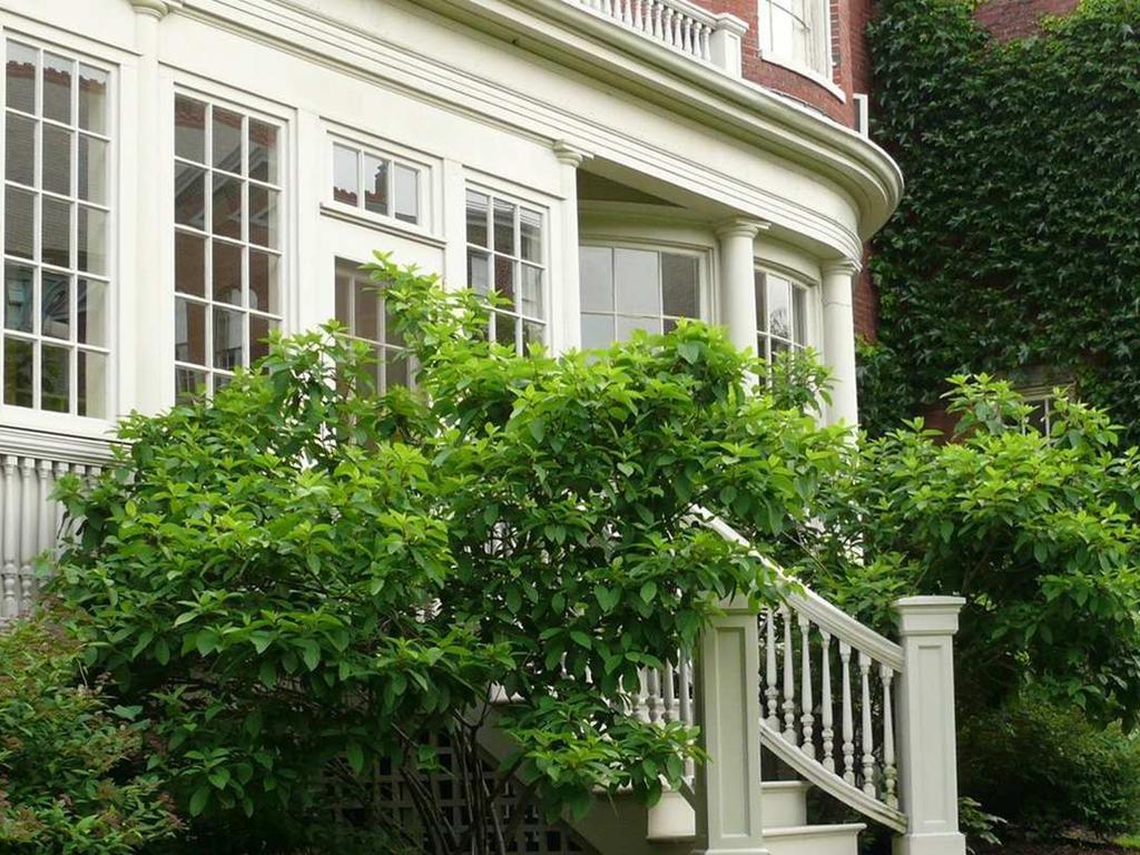 Blind Tiger Portland - Danforth Street Guest House Экстерьер фото